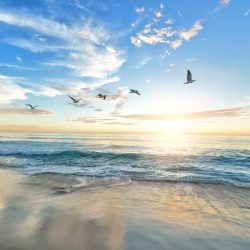 beach-1852945