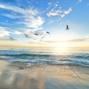 beach-1852945